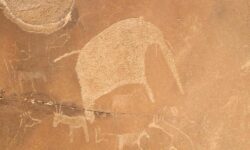 Учёные впервые нашли древнюю человеческую ДНК на стенах пещеры