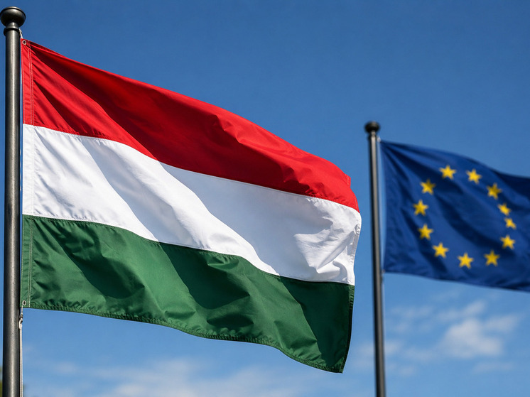 Мадьяр обвинил ЕС в несправедливом отношении к Венгрии из-за миграции