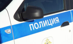 Школьница подожгла две полицейские машины под контролем телефонных мошенников