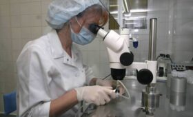 Ученые работают над продлением жизни до 150 лет